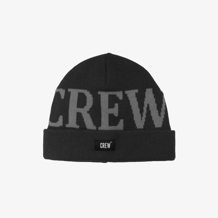 Шапка TEAM BEANIE LOGO BLACK